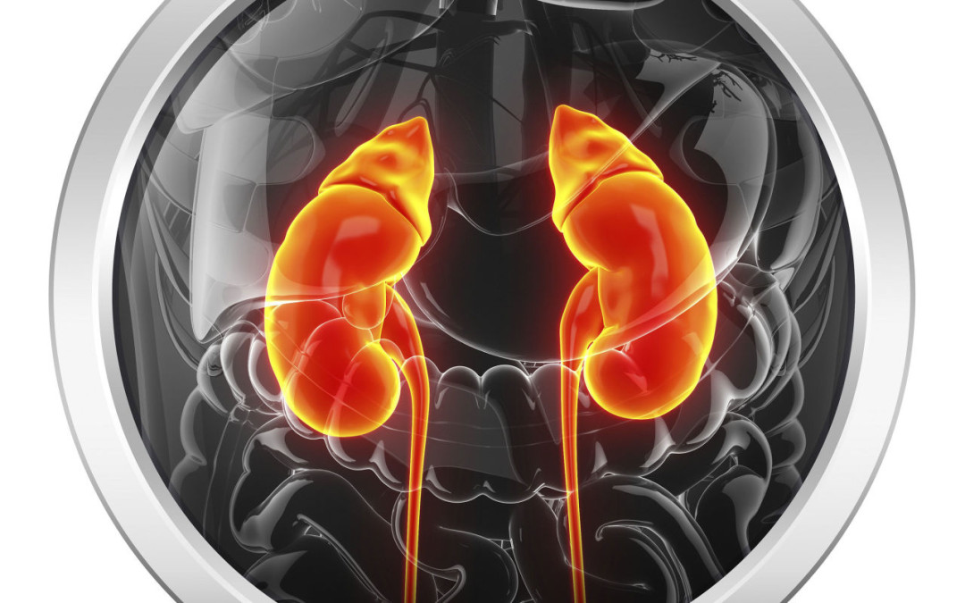 Treatments Available For Kidney Failure